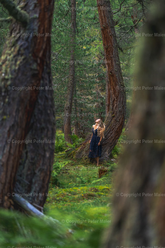 Dorfertal_Erlebnisraum_Wald_23_Peter_Maier-85 | piet_flosse