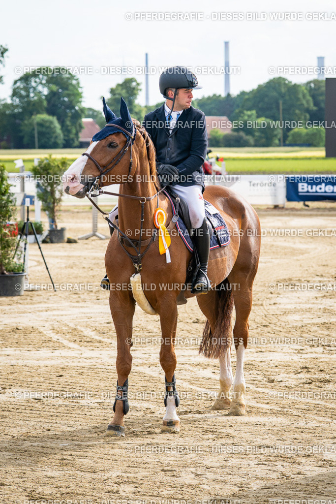 DSC07459 | Pferdegrafie