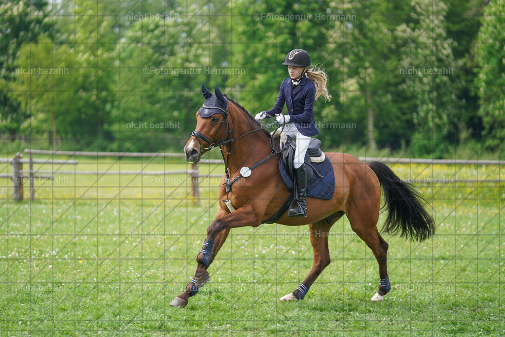 20240509-FAH02801 | Turnierbilder der Turnierfotografen Bayern, Pferdesport Fotografie, Reitsportbilder, Turnier Landberg am Lech, Turnierbilder bayern, Fotoagentur Herrmann