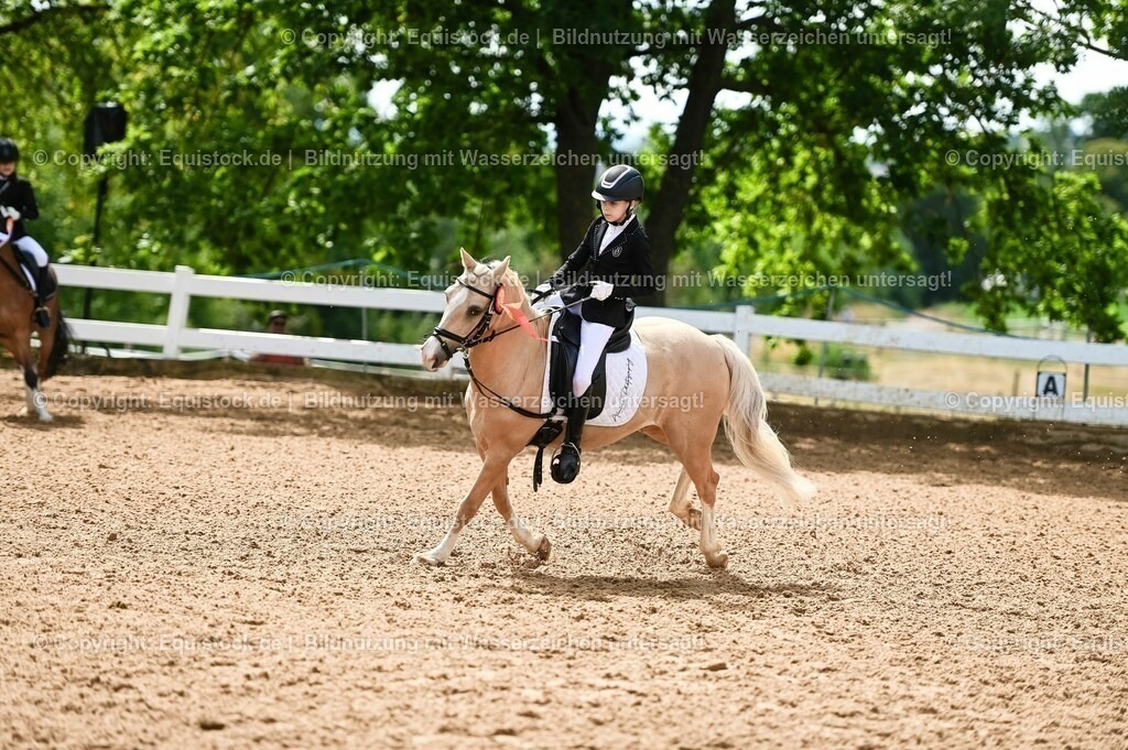 20230716_10-3_Reiter-WB Schritt - Trab - Galopp_0262 | equistock