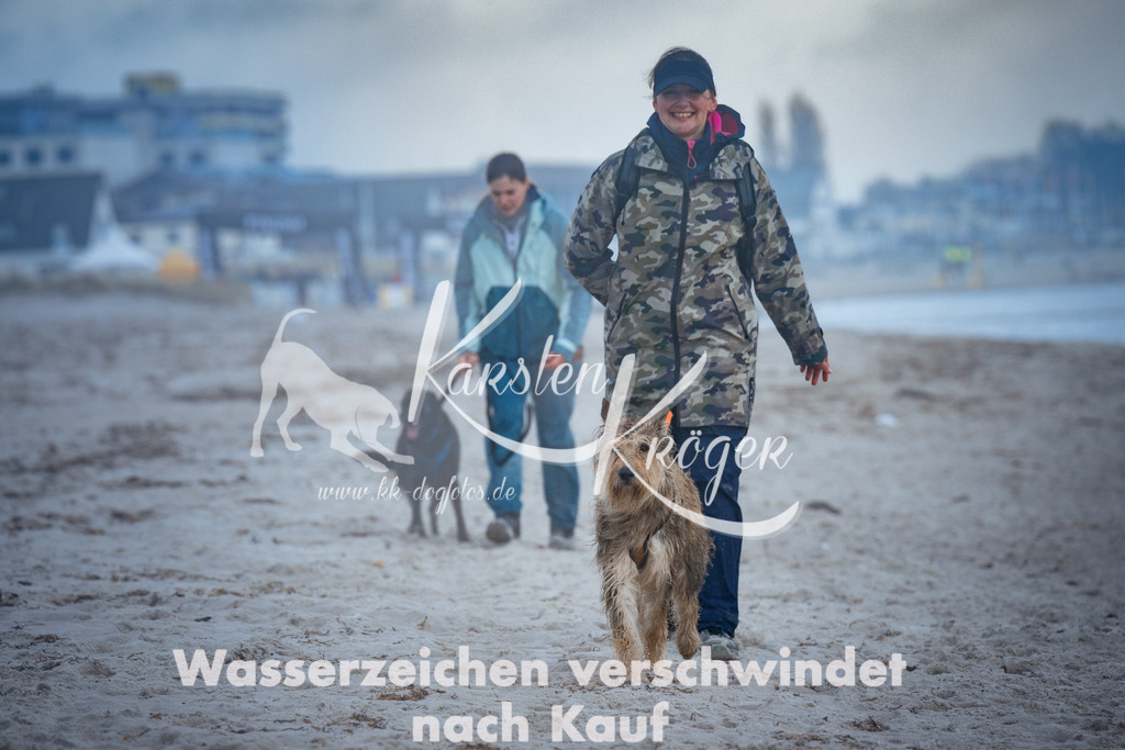 1124_ZZ98133 | kk-dogfotos