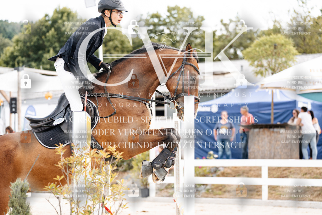 CK902331 | Turnierfotografie Pferdefotografie Trier Rheinland-Pfalz Pferdesport Reitsport Tierfotografie Sportfotografie Pferdevideo Pferdevideografie Equestrianvideography equestrianphotography  - Realisiert mit Pictrs.com