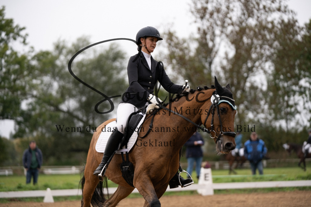 A7V05589 | Pferdefotograf