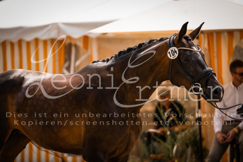 2. Fr00208 | Leoni Ertmer Photography - Realisiert mit Pictrs.com