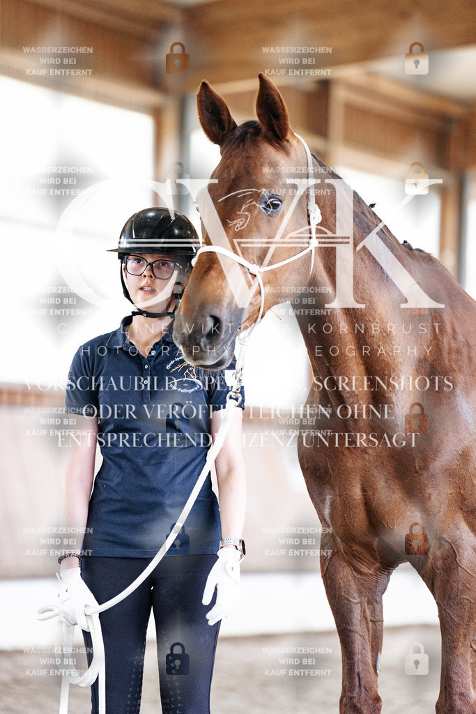 CK908298 | Turnierfotografie Pferdefotografie Trier Rheinland-Pfalz Pferdesport Reitsport Tierfotografie Sportfotografie Pferdevideo Pferdevideografie Equestrianvideography equestrianphotography  - Realisiert mit Pictrs.com
