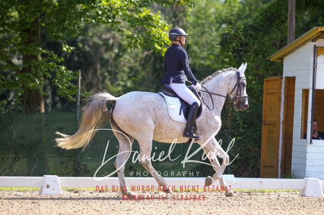 DKP42828 | Turniersportfotografie; Pferdefotografie; Dressurfotografie