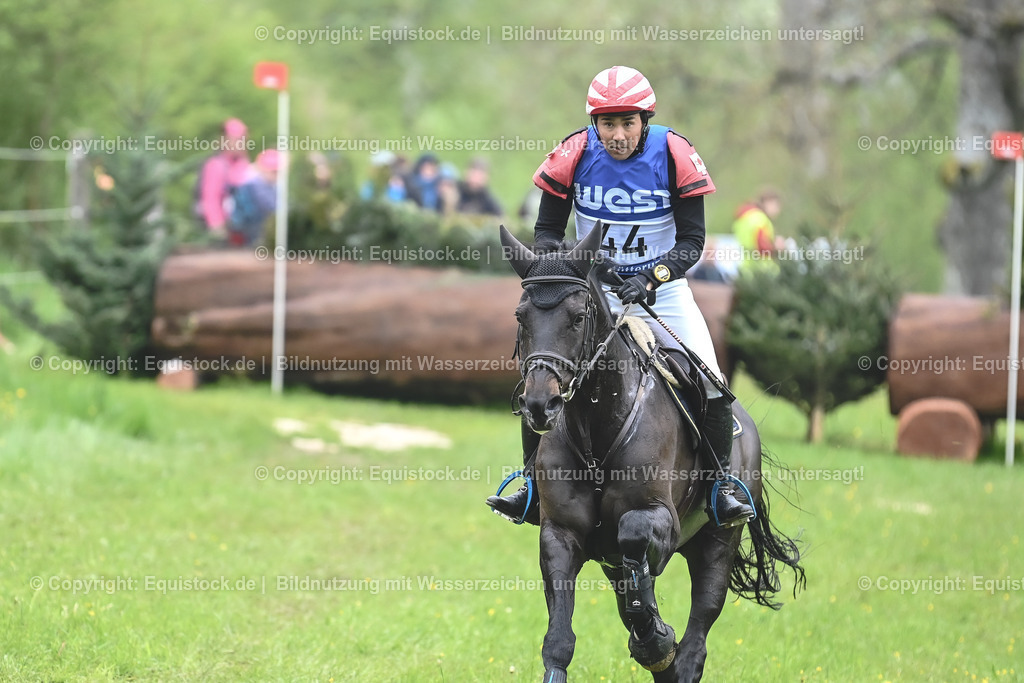 20230513_CCI4_Gelände_0560 | equistock