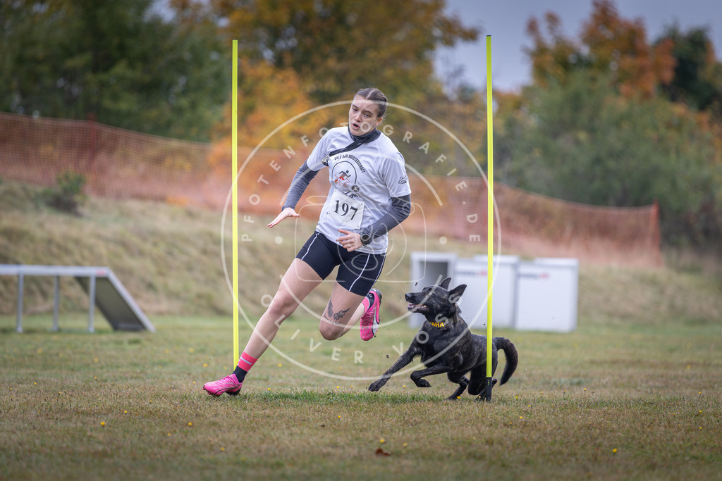 Pfotenfotografie_DV3A1097 | Hundefotografie, Tierfotograf, Pfotenfotografie, Fotoshooting Hund, Hunde Portrait, Hundesport, Hundeportraits, Heideshooting, Hunde, Sportfotograf, Hundefotograf, Turnierhundsport, THS,  - Realisiert mit Pictrs.com