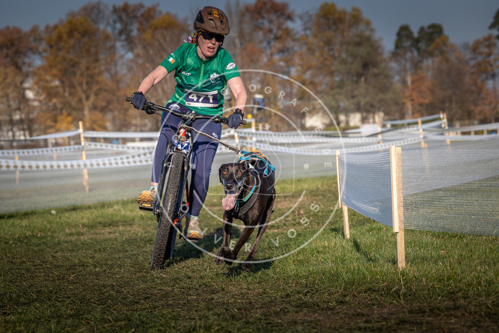 CaniXpix_0L8A4593 | Hundefotografie, Tierfotograf, Pfotenfotografie, Fotoshooting Hund, Hunde Portrait, Hundesport, Hundeportraits, Heideshooting, Hunde, Sportfotograf, Hundefotograf, Turnierhundsport, THS,  - Realisiert mit Pictrs.com