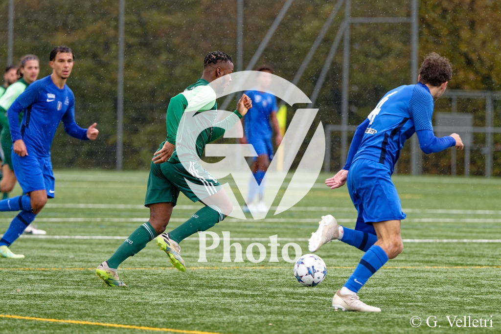 DSC_6535 | Velletri Photo