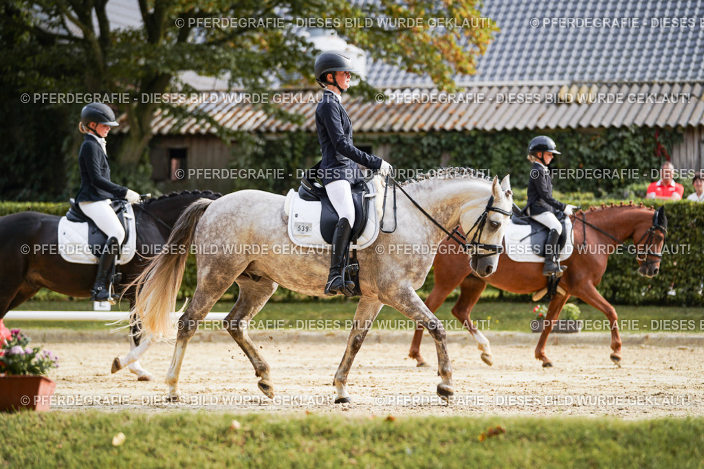 DSC04850 | Pferdegrafie