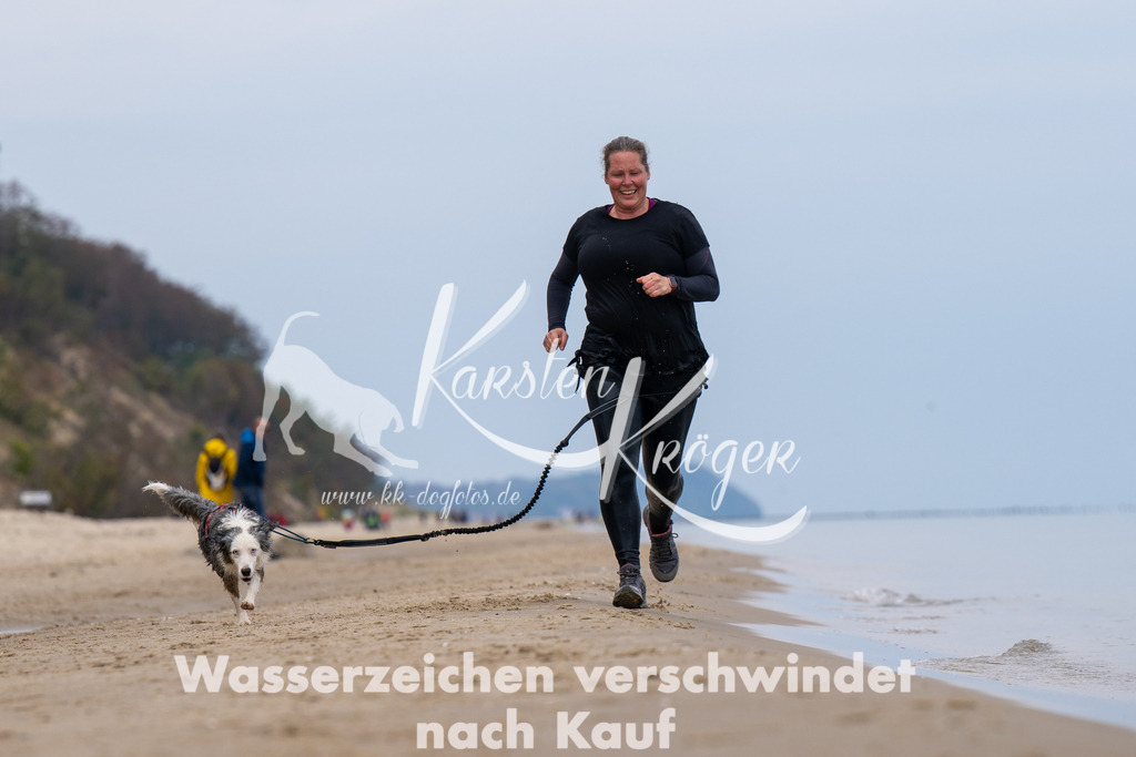 1232_ZZ92185 | kk-dogfotos