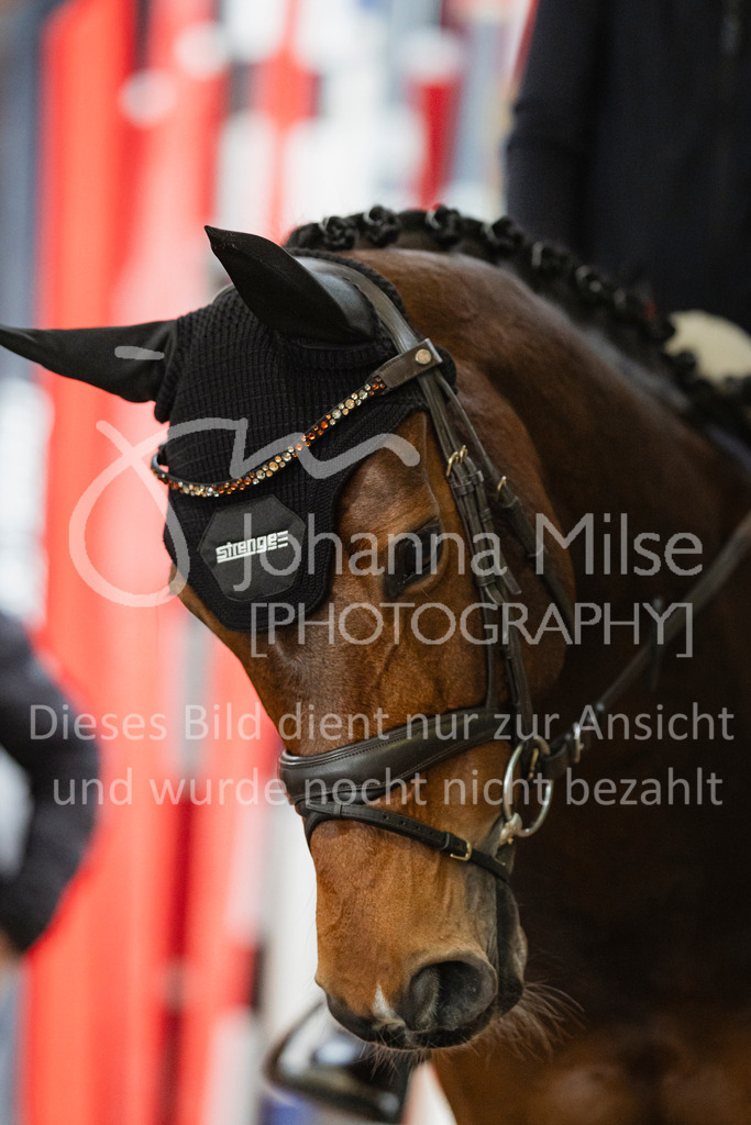 240316_Borgholzhausen_A-Spr-527 | Deine schönsten Turniermomente als professionelle Fotos! Entdecke hochwertige Pferdesport-Fotografie im Online-Shop. Jetzt Fotos finden & bestellen!