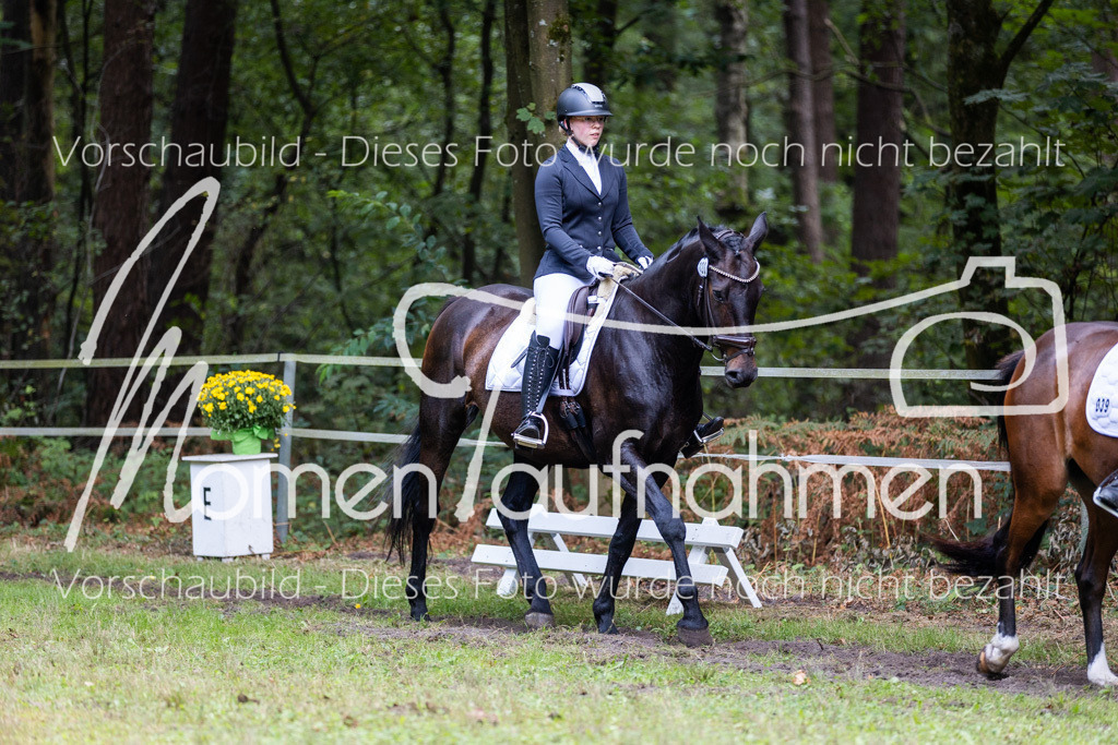 HB-Dressur-WB-029 | MomenTaufnahmen Pferdesportfotos