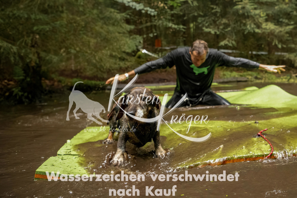1224_ZZ94498-Bearbeitet | kk-dogfotos