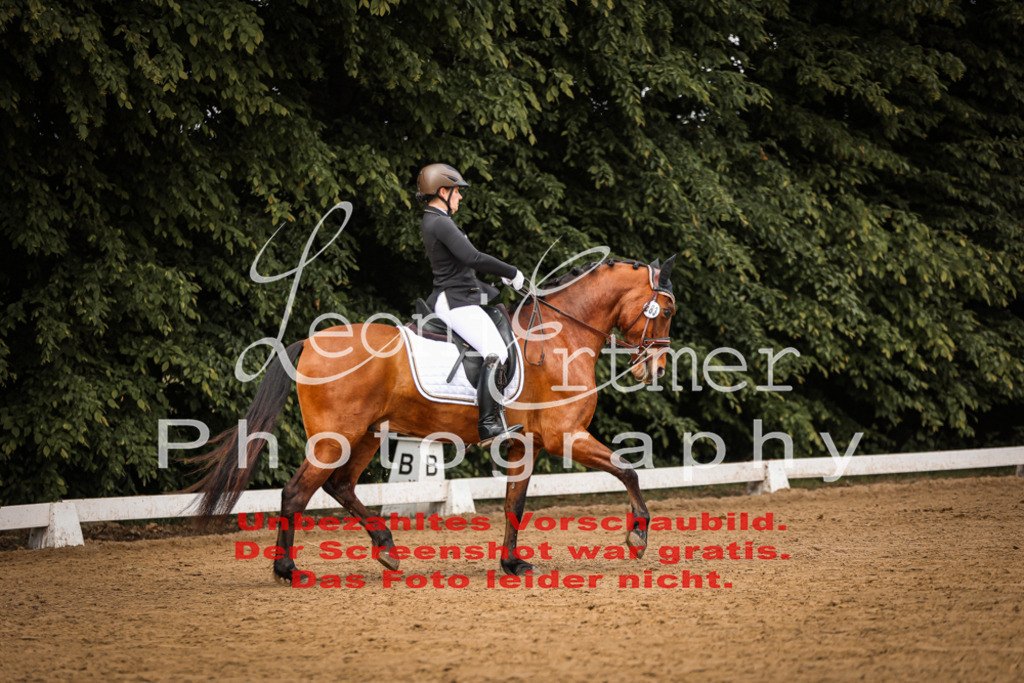 9.FrDrA200187 | Leoni Ertmer Photography - Realisiert mit Pictrs.com
