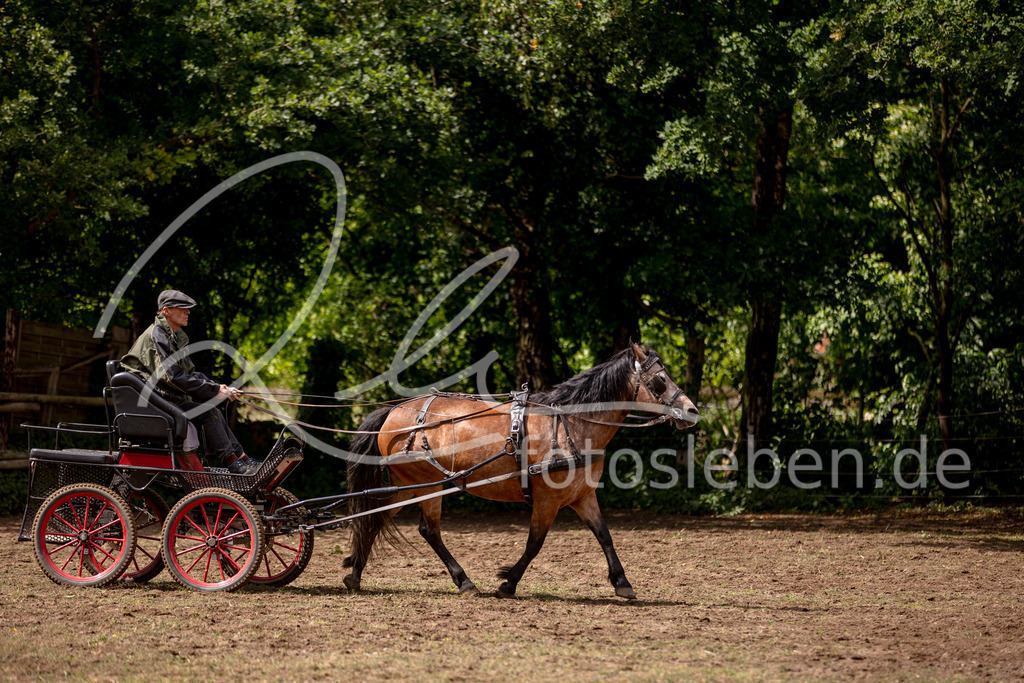 846A0803 | fotosleben - Realisiert mit Pictrs.com