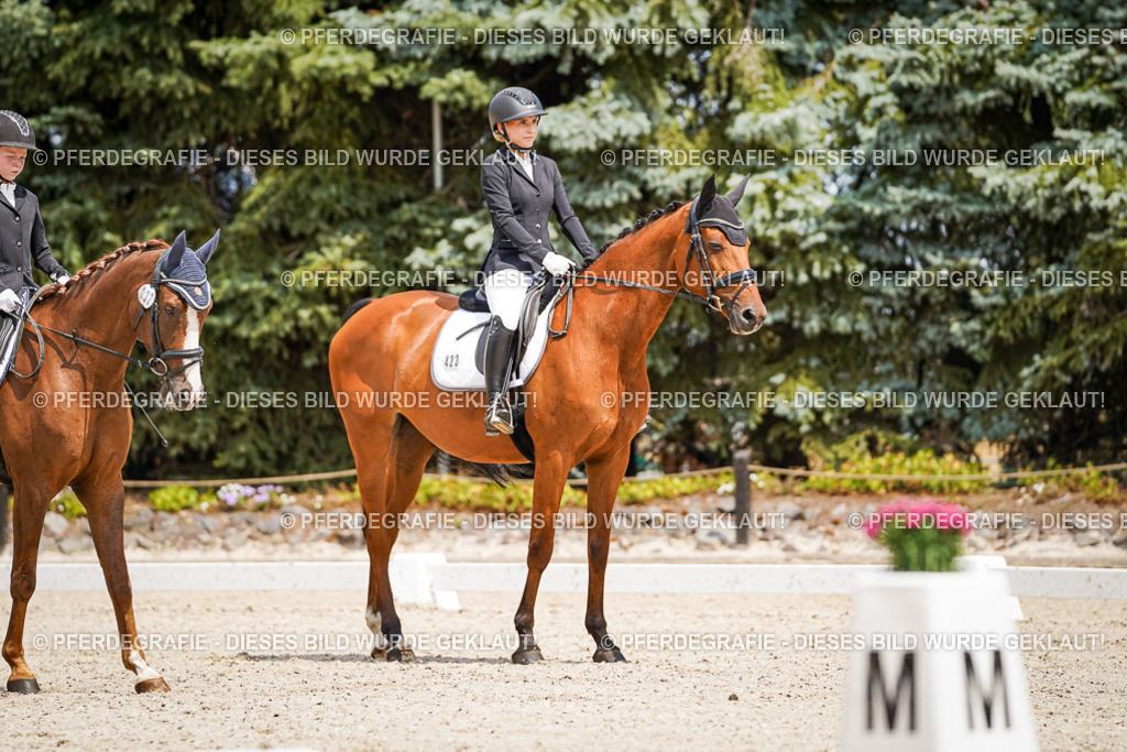 DSC03286 | Pferdegrafie