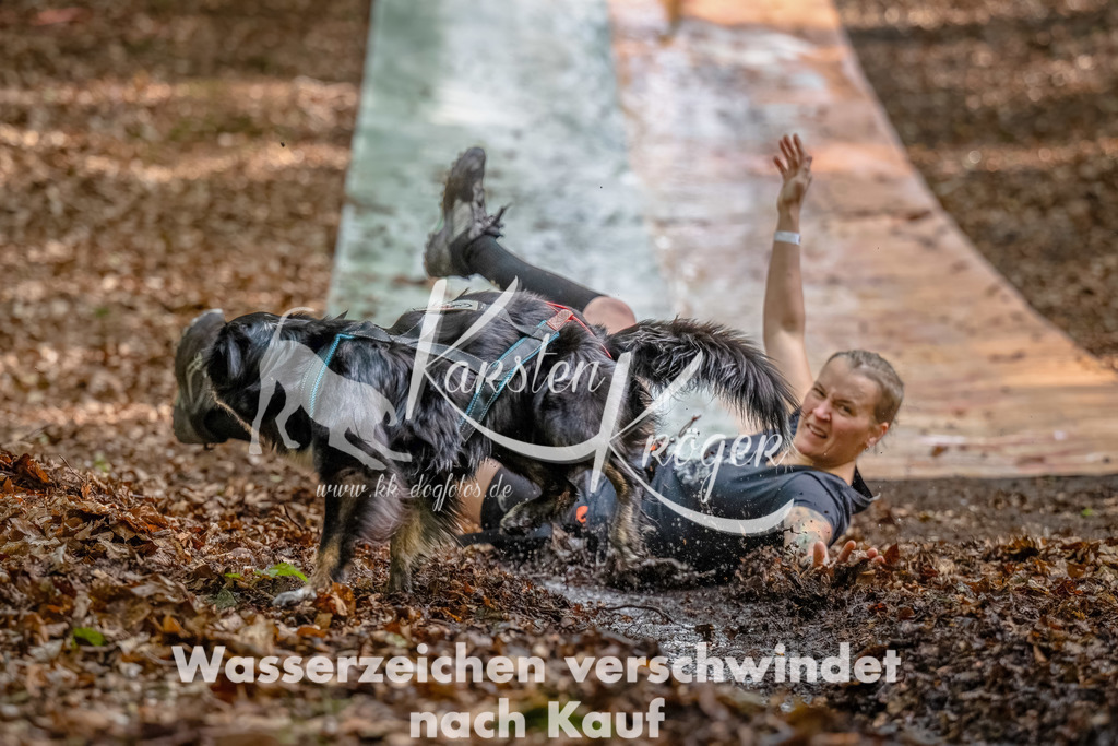 1140_ZZ92019-Bearbeitet | kk-dogfotos