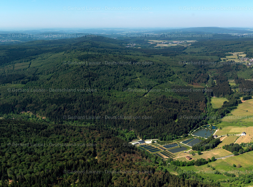 Nationalpark-Hunsrück-Hochwald-3111579 | Nationalpark-Hunsrück-Hochwald