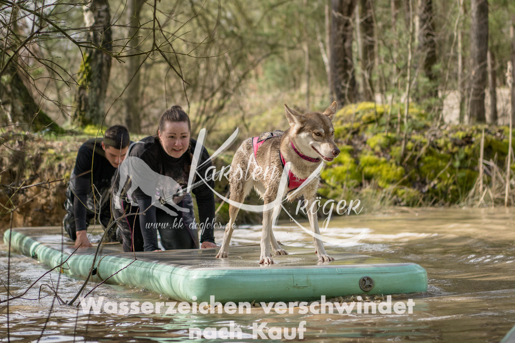 1004_ZZ92379 | kk-dogfotos