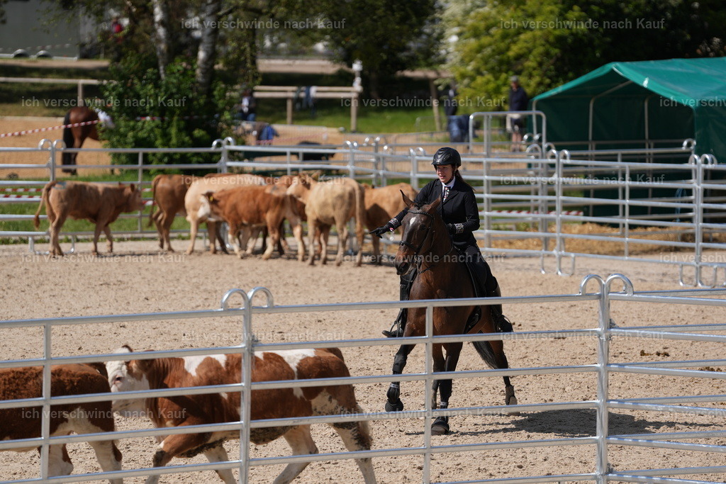 PI26_GesamtCOW_JansPictures_7C_00139.JPG | working equitationturnier fotograf videograf stoibphotography marixx film working equitation deutschland reitsport turnierfotografie eventfotografie equestrian events