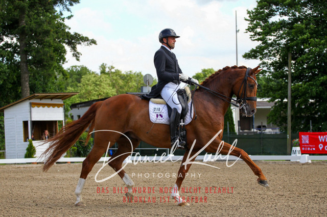 DKP41322 | Turnierfotos kaufen im Webshop von Daniel Kuhl Photography – entdecke professionelle Reitsportfotos aus Turnieren & Events. Hochwertige Turnierbilder online bestellen & sichern. Jetzt Fotos von Reitsportturnieren kaufen!