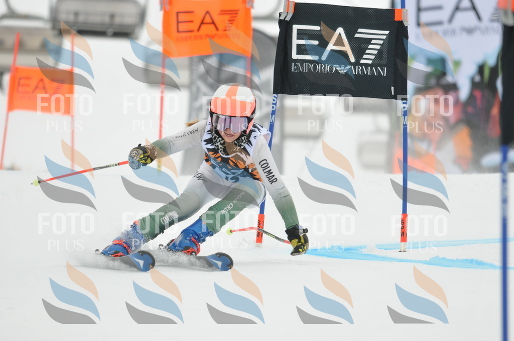 DSC_7402 | holidayphoto