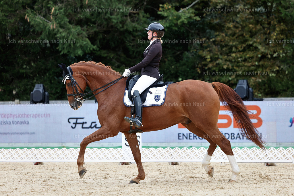 3-210-Dressur M_-StoibPH-2478 | working equitationturnier fotograf videograf stoibphotography marixx film working equitation deutschland reitsport turnierfotografie eventfotografie equestrian events