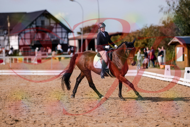 2026_10_03_Siefer-Hof_123140_Z81_30125153 | Professionelle Reitsport-, Turnier- und Eventfotografie von Robert Broda. Galerien mit ausgewählten und bearbeiteten Bildern direkt online ansehen und bestellen.