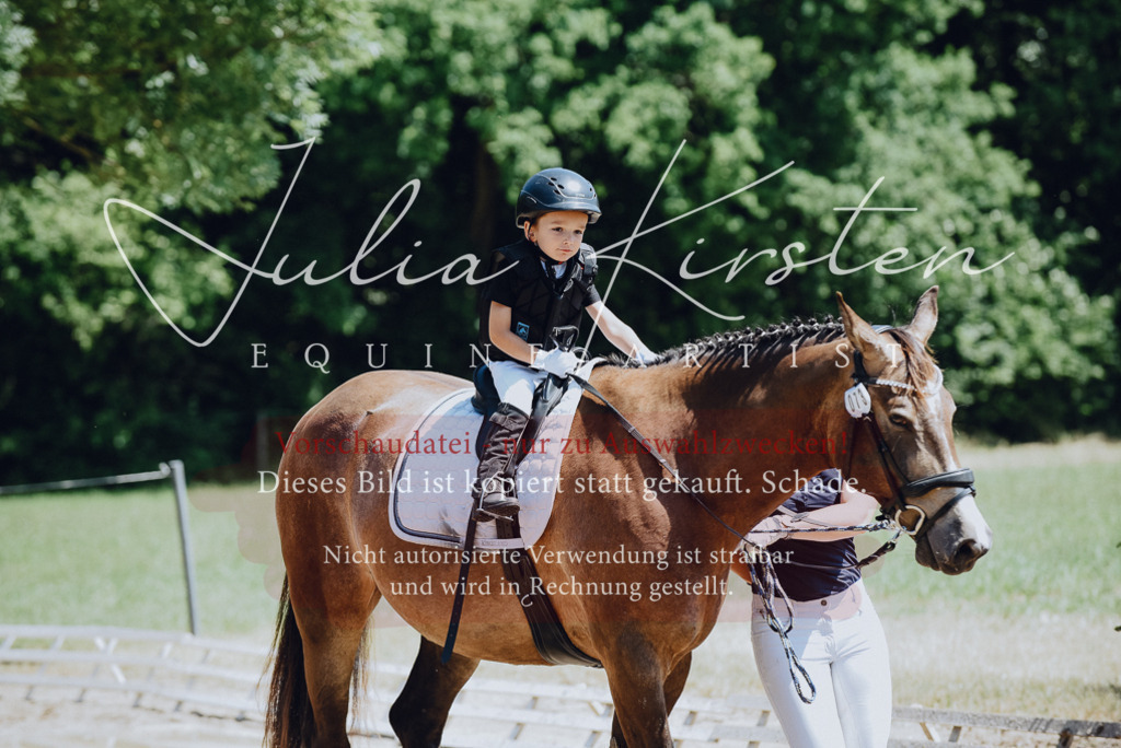 DSC_2634 | Pferde- und Turnierfotografie in Westsachsen. Pferdeportraits, Auftragszeichnungen und intuitive Kunst.