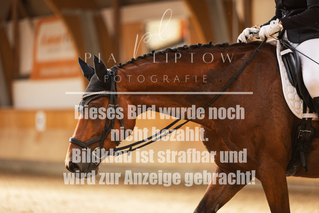 IMGS0939 | pl-fotografie