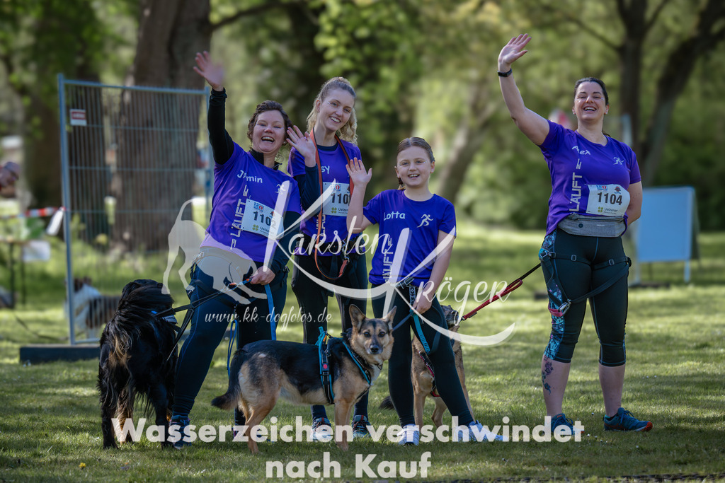 0951_ZZ94168 | kk-dogfotos