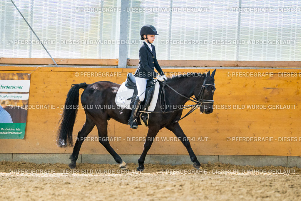 DSC00931 | Pferdegrafie