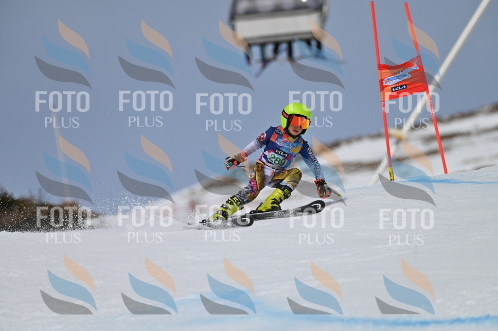 BGV_5766 | holidayphoto