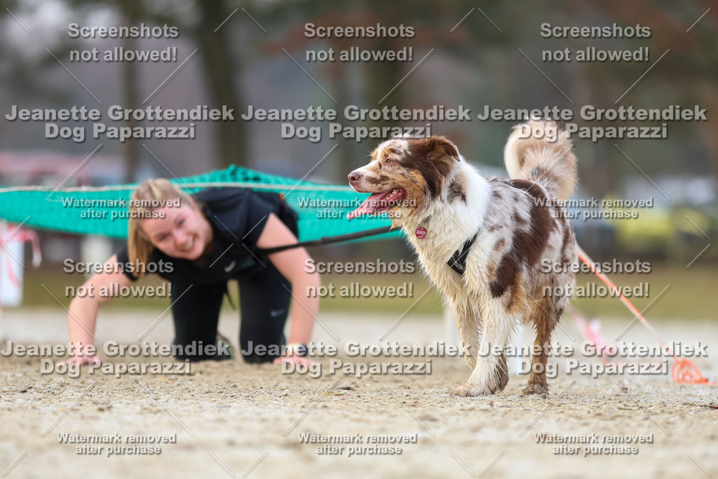 Dog Paparazzi - Strongdog North Mrz26-3839 | Dog Paparazzi Jeanette Grottendiek Fotografie & Videografie - Realisiert mit Pictrs.com