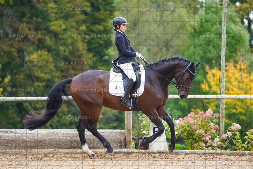 20221008-FAH01094 | Diessen am Ammersee, 2022, Dressur- und Springturnier, Reitsportbilder, Turnierfotografen Bayern, Pferdefotografen, Fotoagentur Herrmann, Turnierbilder