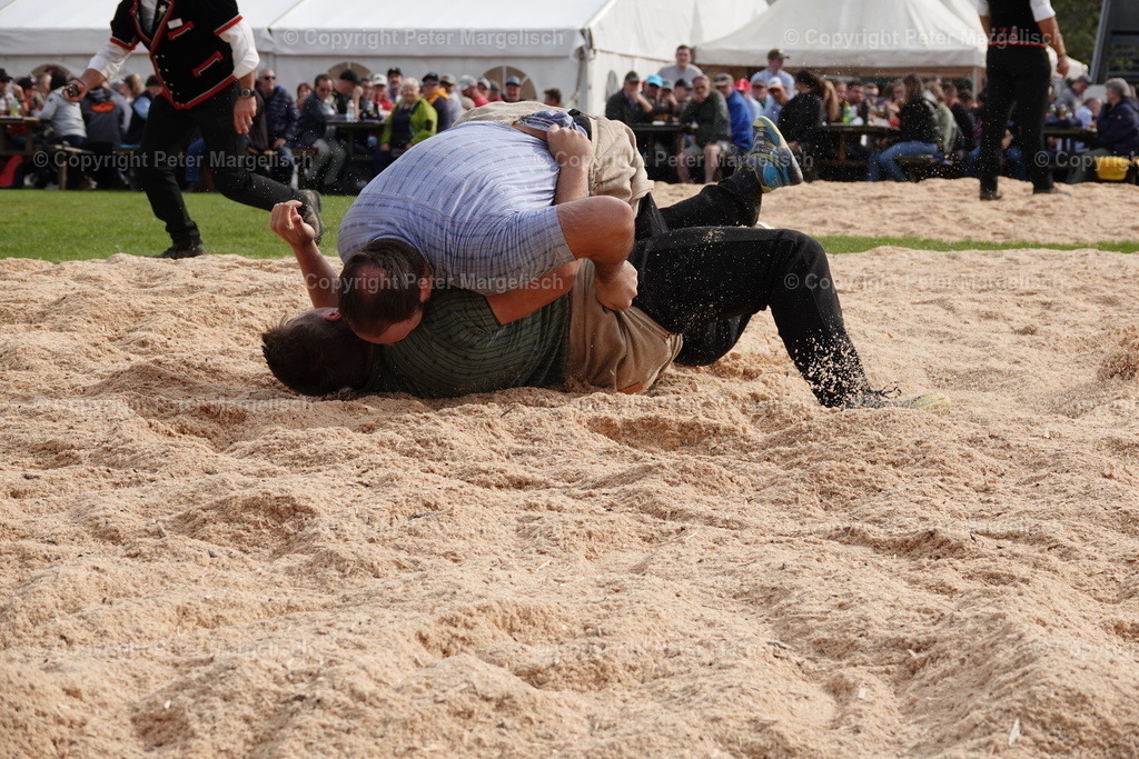 DSC08481 | Schwingen - Realisiert mit Pictrs.com