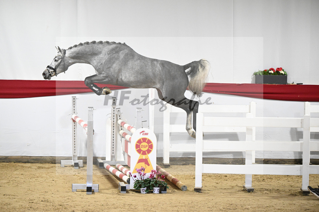 Kat-Nr. 28 v. Cornet de Semilly_ZG Nahm_63220841 | hf-fotografie - Realizzato con Pictrs.com