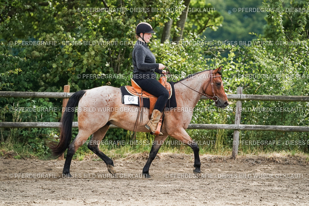 DSC04482 | Pferdegrafie