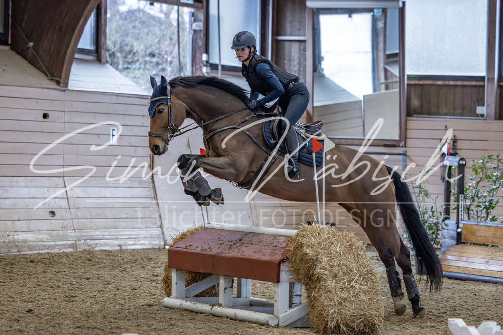 20260222-_3LI2335 | Tierfotografie Pferde, Hunde, Katzen, Haustiere.
Turnierfotografie Reitturniere, Reiten, Springreiten, Dressur in Hanau, dem Main-Kinzig-Kreis und dem Rhein-Main- Gebiet um Frankfurt