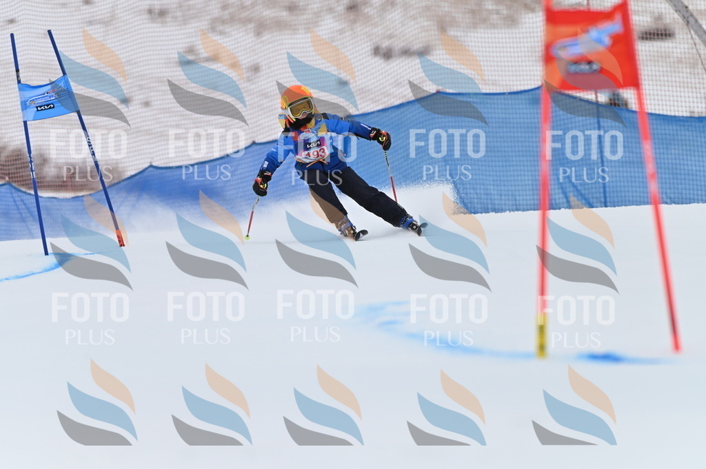 BGV_1568 | holidayphoto