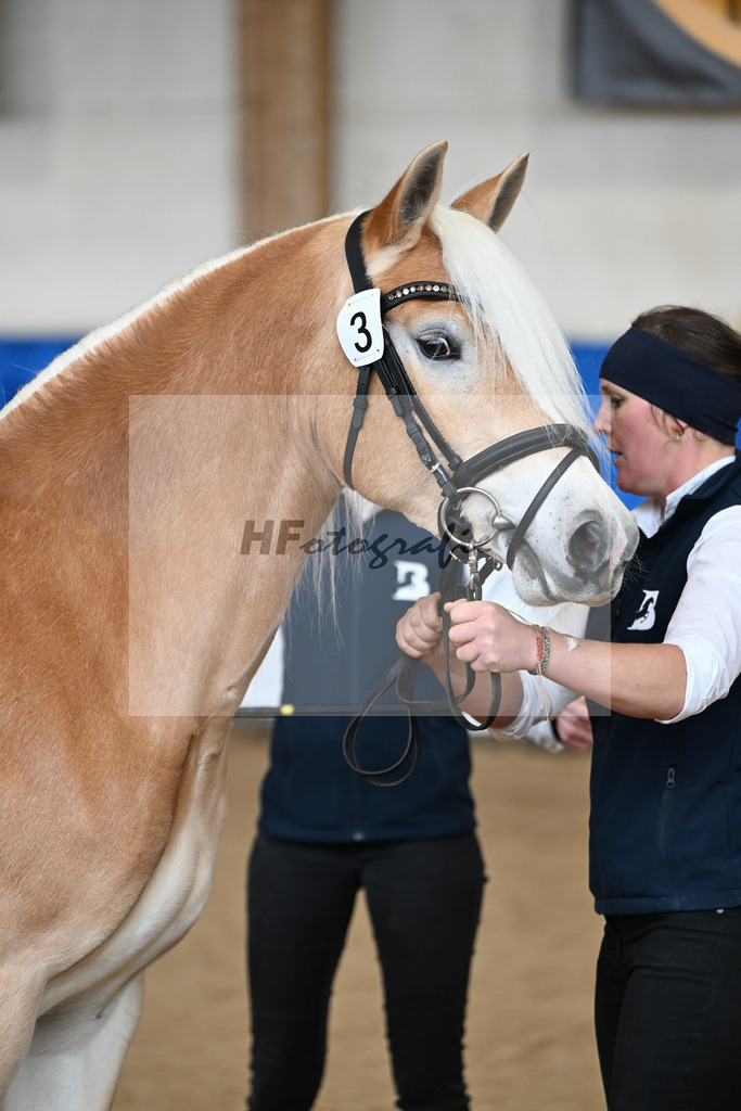 Bl. Band Kat-Nr. 3 Lorena v. Sterlington_Weber_48251241 | hf-fotografie - Realisiert mit Pictrs.com