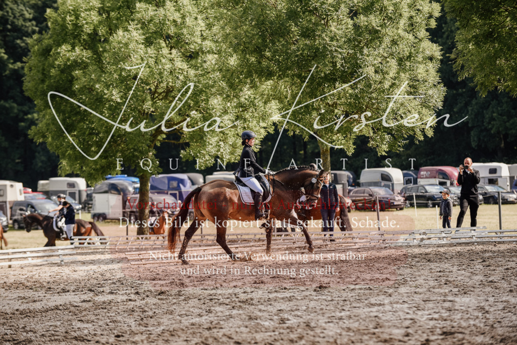 DSC_9277 | Pferde- und Turnierfotografie in Westsachsen. Pferdeportraits, Auftragszeichnungen und intuitive Kunst.