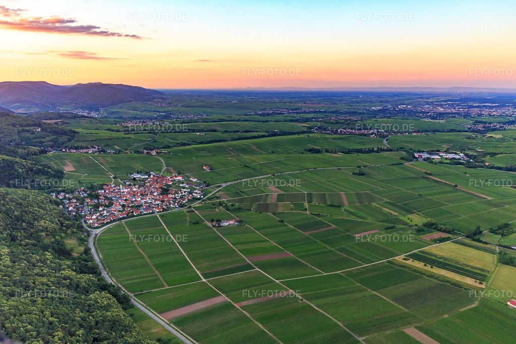 Luftbild: Winzerdorf im Abendlicht am Rand des Pfälzerwalds aus Süden in Eschbach im Bundesland Rheinland-Pfalz in Deutschland. Foto: IMG_115567.jpg vom 21.06.2019 durch Werner Riehm/FLY-FOTO.de