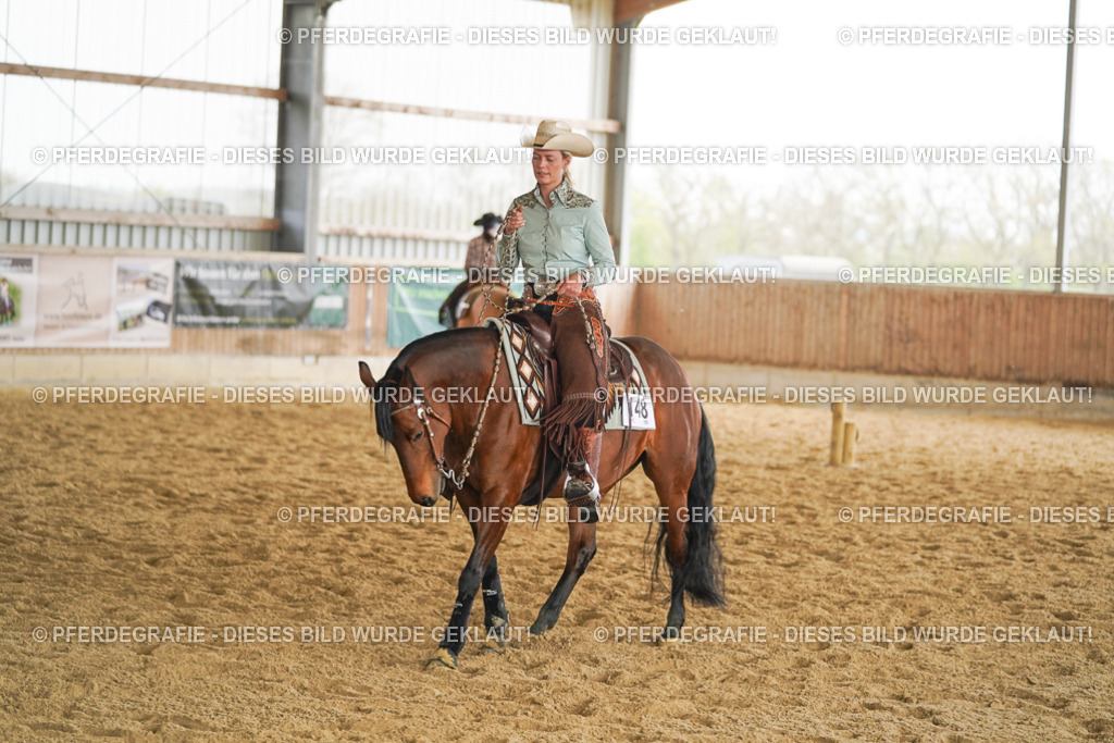 DSC05395 | Pferdegrafie