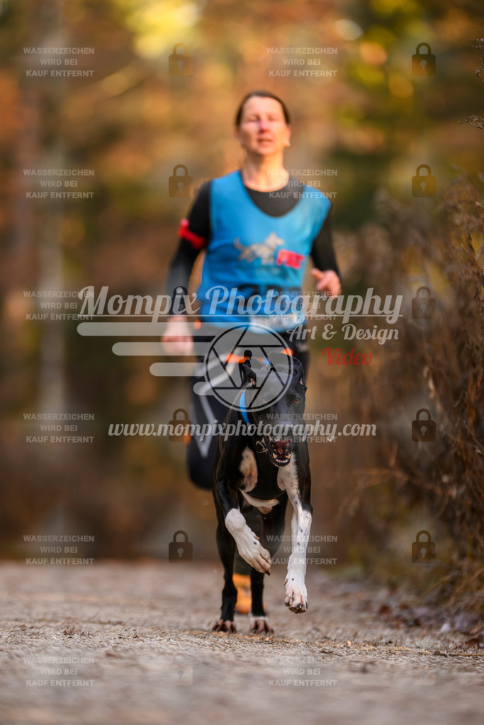 MompixPhotography_DM_AKDM_SO_2025_-50 | PayLife