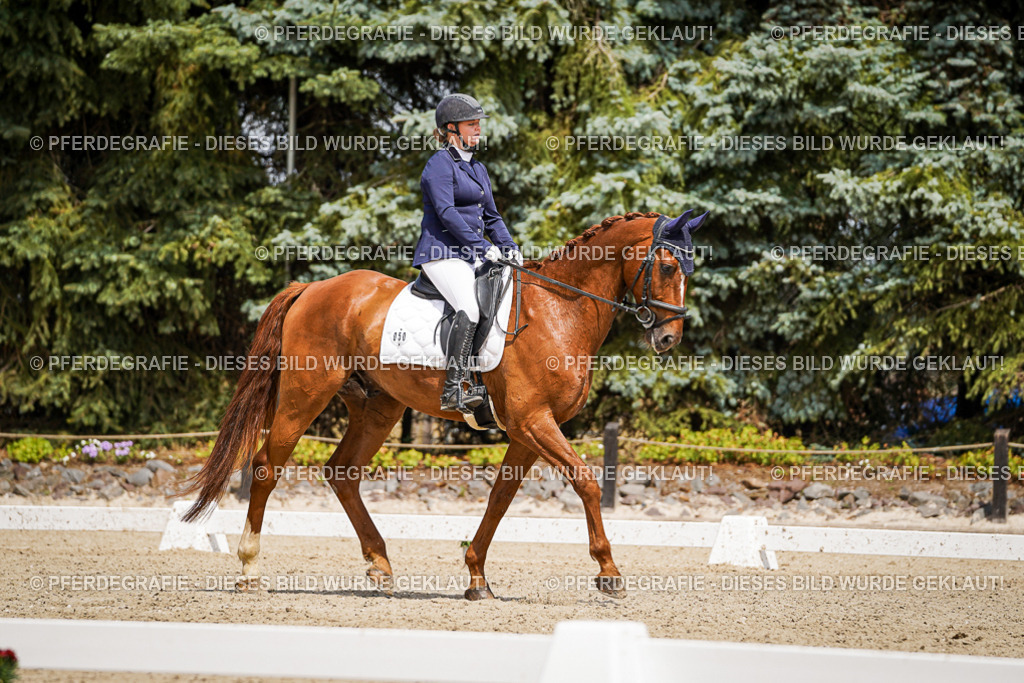 DSC02253 | Pferdegrafie