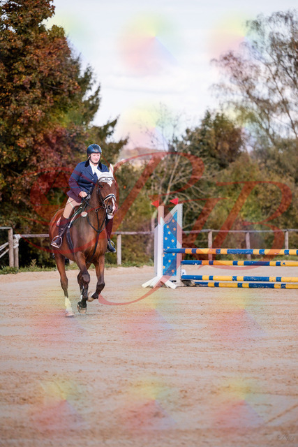 2026_10_03_Siefer-Hof_170337_Z81_00217160 | Professionelle Reitsport-, Turnier- und Eventfotografie von Robert Broda. Galerien mit ausgewählten und bearbeiteten Bildern direkt online ansehen und bestellen.