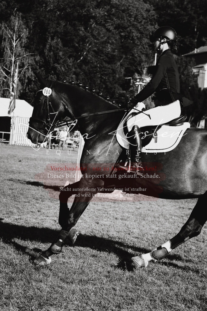 DSC_5152 | Pferde- und Turnierfotografie in Westsachsen. Pferdeportraits, Auftragszeichnungen und intuitive Kunst.
